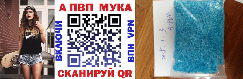 Альфа ПВП СК Новодвинск