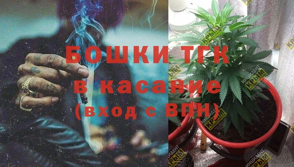 спайс Вяземский