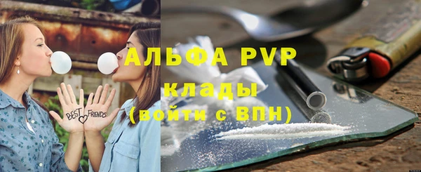 прущие грибы Белая Холуница