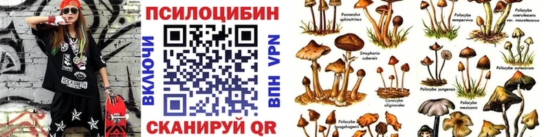 mega ССЫЛКА  Новодвинск  Галлюциногенные грибы прущие грибы  купить наркотики сайты 